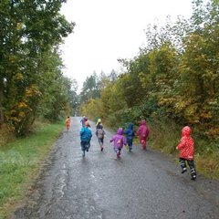 Kita Johanngeorgenstadt Kinder im Wald