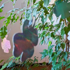 Servicewohnen Stollberg