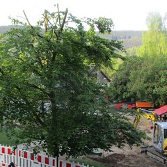 Baggern in Kindertagesstätte Breitenbrunn