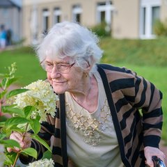 Senioren riecht an einer Blume 